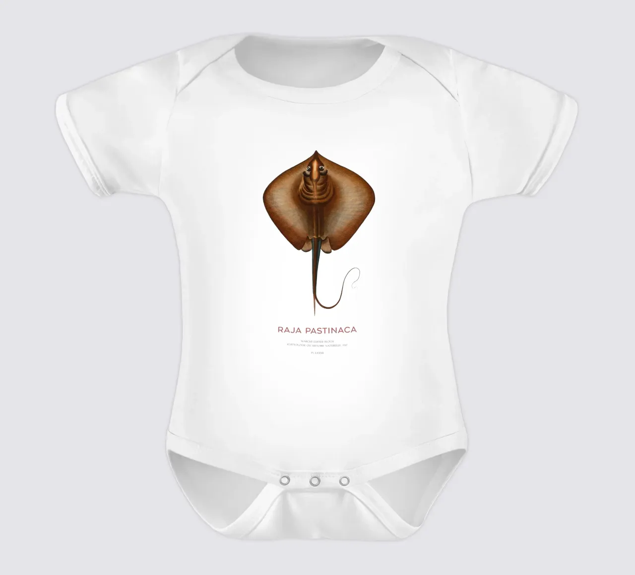 Mantarraya común o Raja pastinaca body de bebé de Vintagrafica