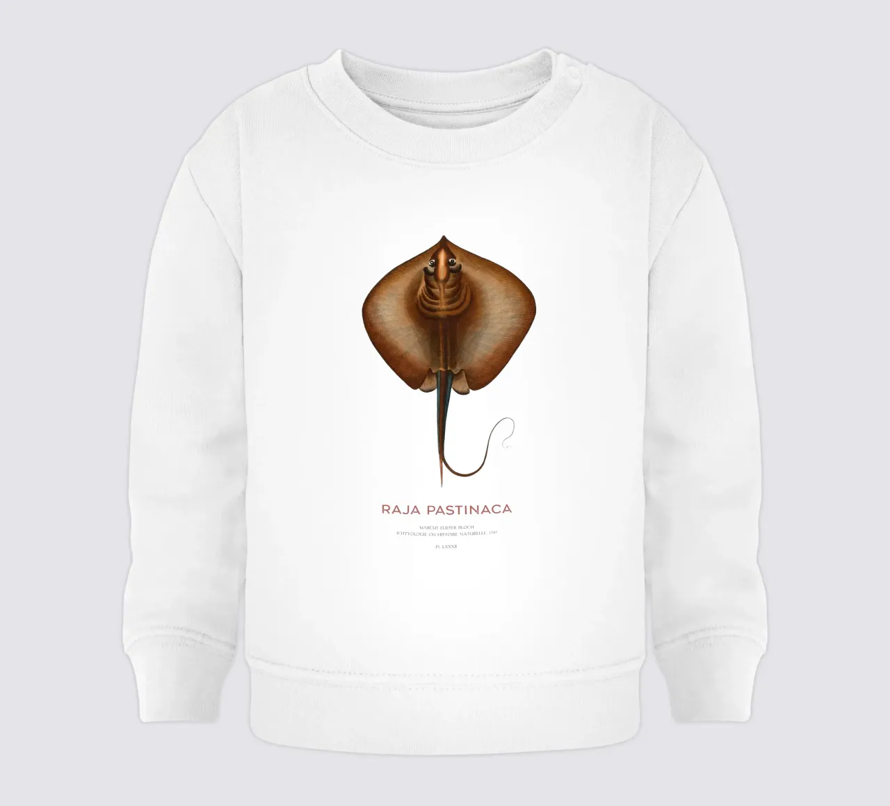 Mantarraya común o Raja pastinaca sudadera de bebé de Vintagrafica