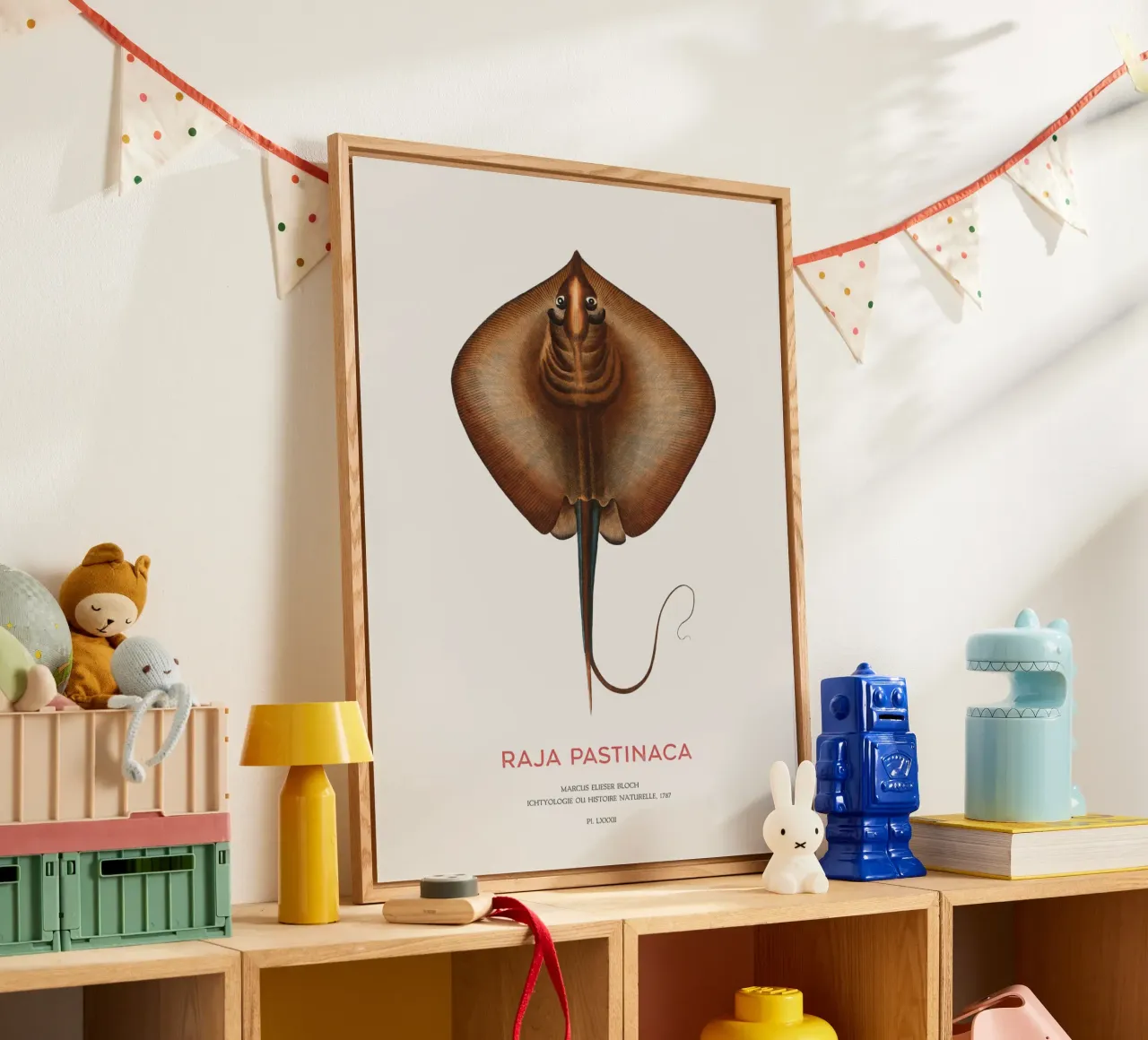 Mantarraya común o Raja pastinaca metacrilato de Vintagrafica