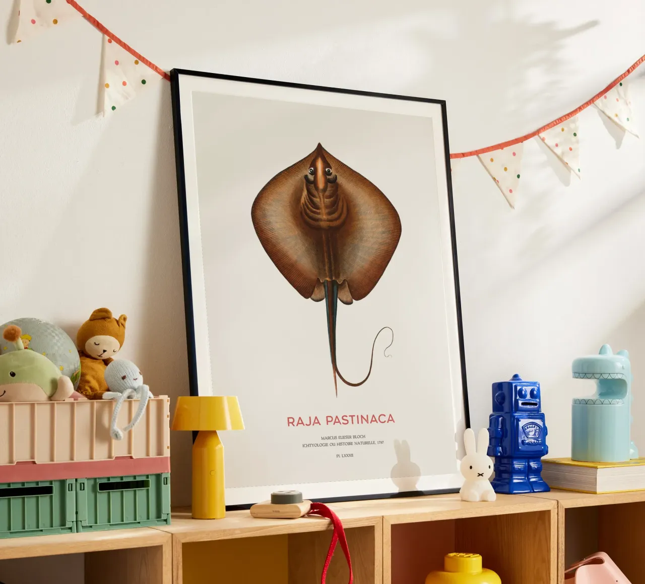 Gewöhnlicher Stechrochen oder Raja pastinaca Poster mit Holzrahmen von Vintagrafica