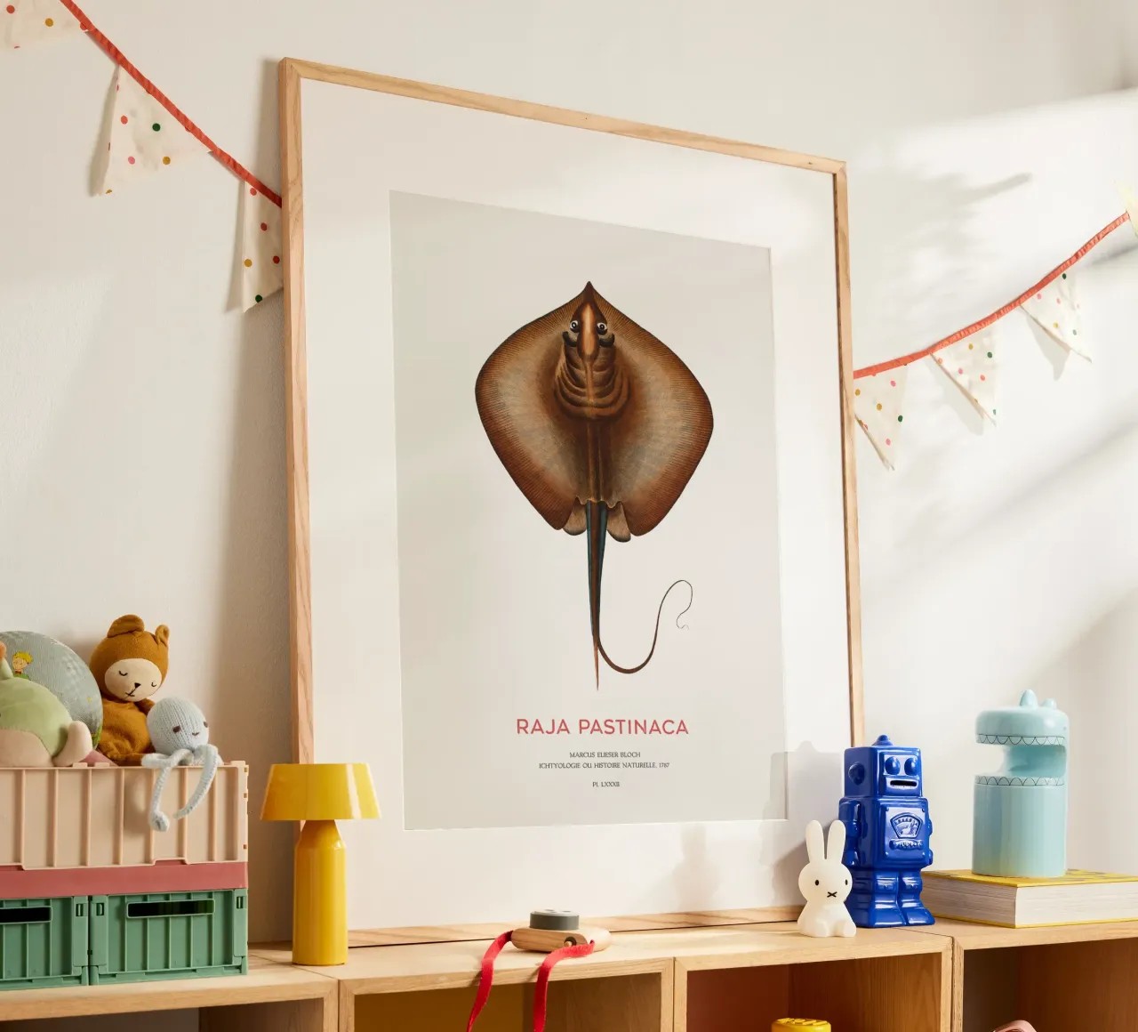 Gewöhnlicher Stechrochen oder Raja pastinaca Poster mit Holzrahmen von Vintagrafica