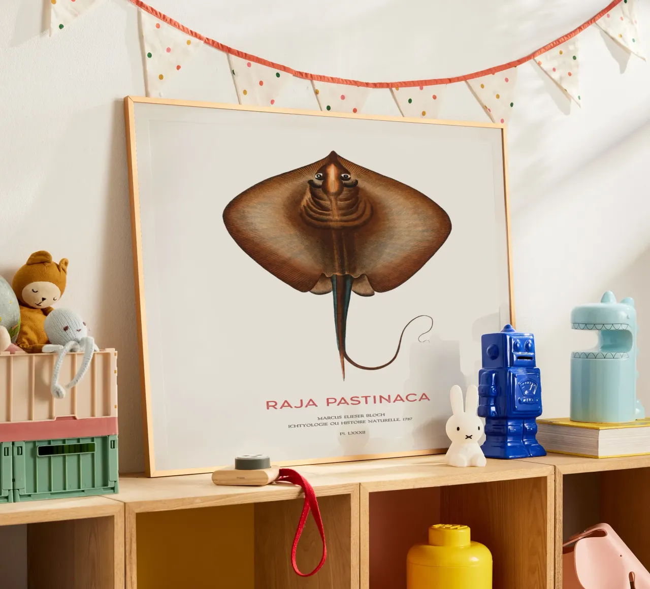 Gewöhnlicher Stechrochen oder Raja pastinaca Poster mit Holzrahmen von Vintagrafica