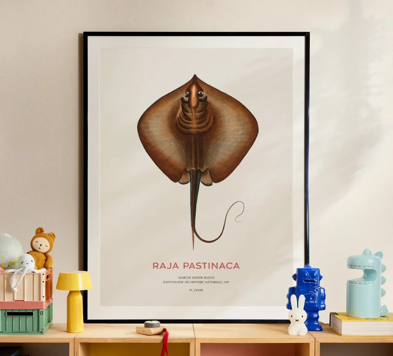 Gewöhnlicher Stechrochen oder Raja pastinaca Poster mit Holzrahmen von Vintagrafica