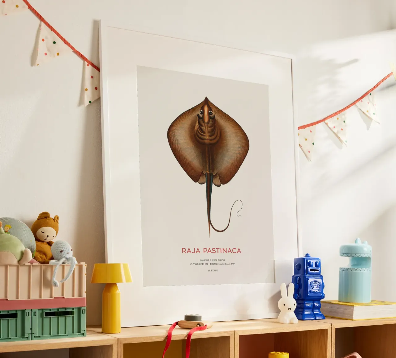 Gewöhnlicher Stechrochen oder Raja pastinaca Poster mit Holzrahmen von Vintagrafica