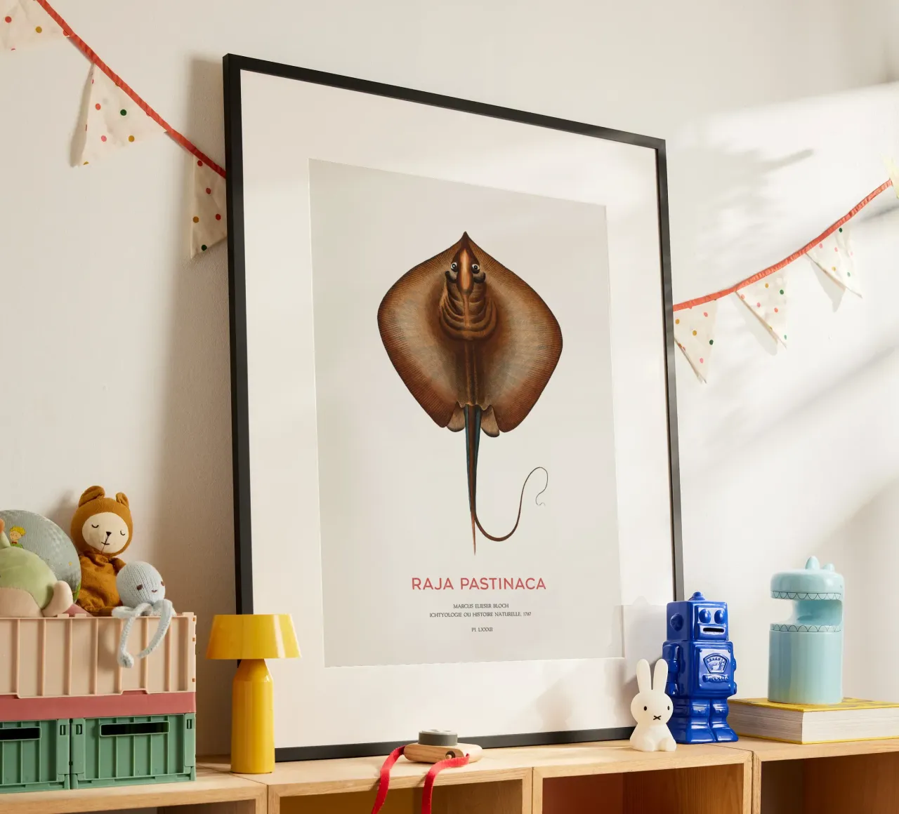 Gewöhnlicher Stechrochen oder Raja pastinaca Poster mit Holzrahmen von Vintagrafica