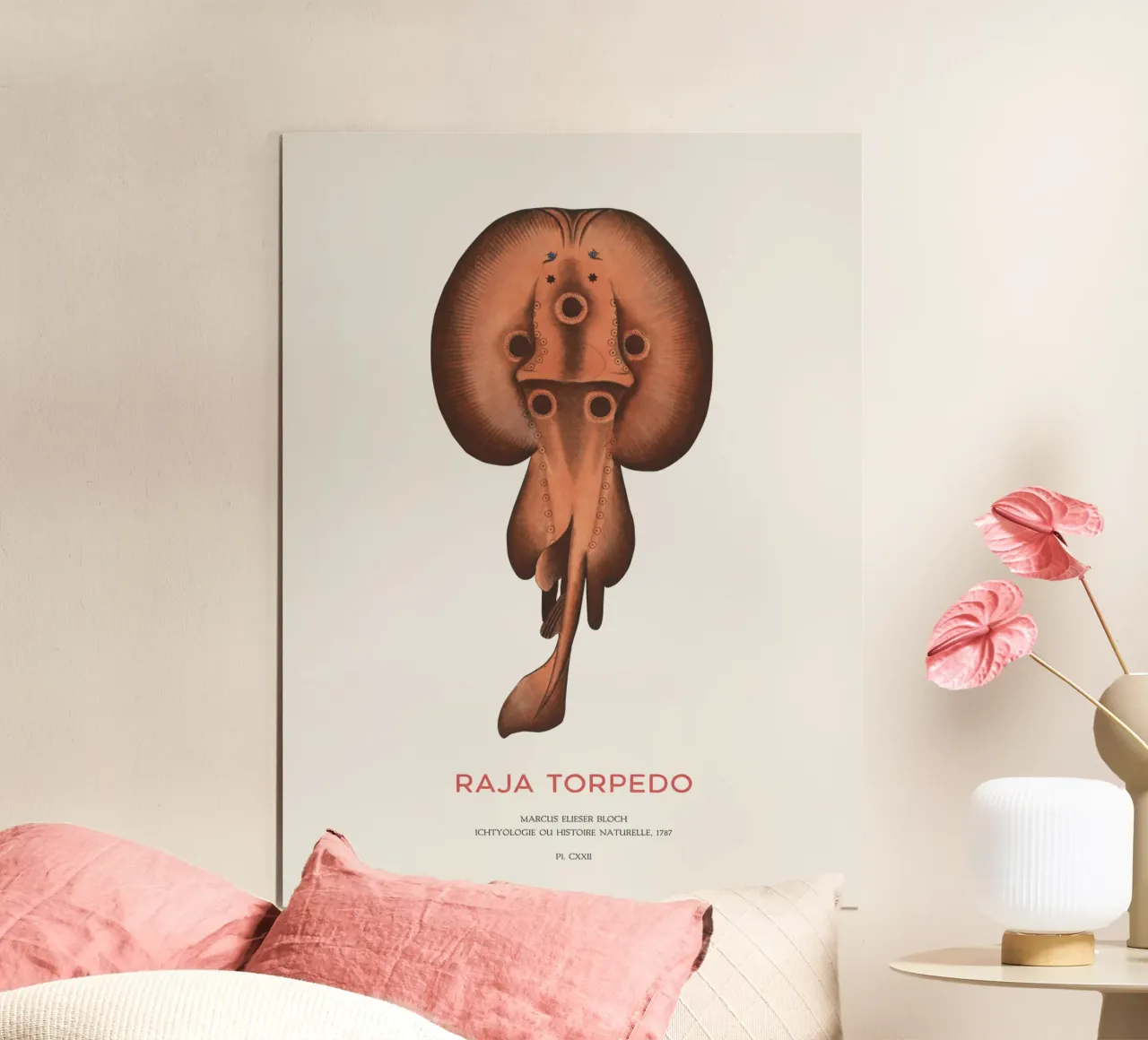 Elektrischer Rochen mit Augen oder Raja-Torpedo Poster von Vintagrafica
