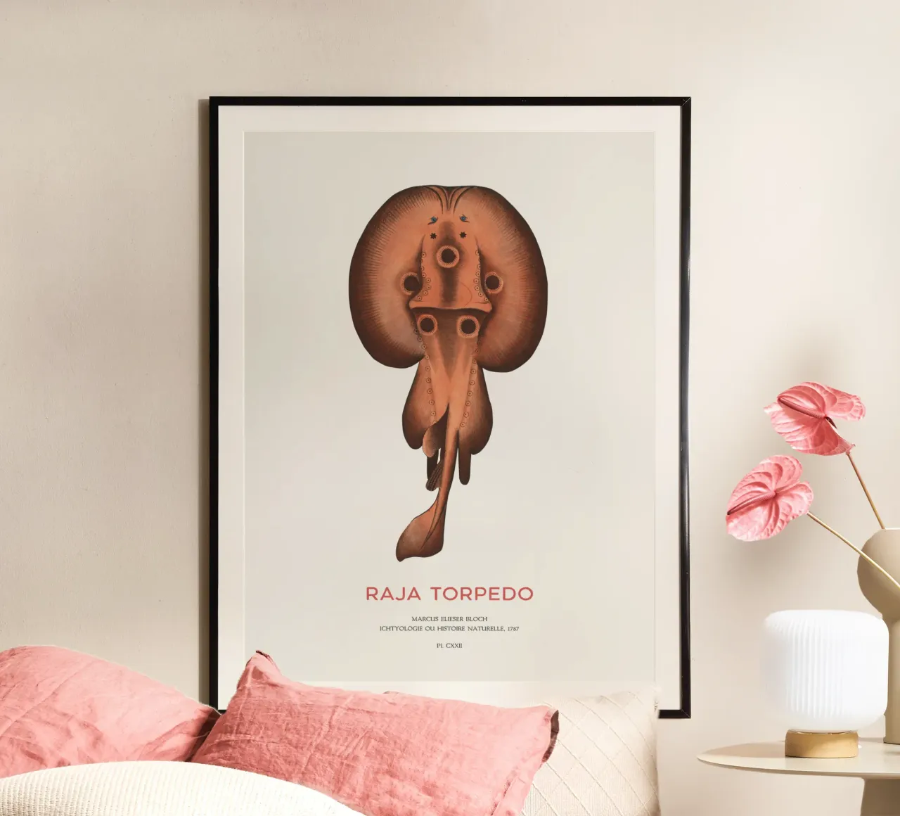 Elektrischer Rochen mit Augen oder Raja-Torpedo Poster von Vintagrafica