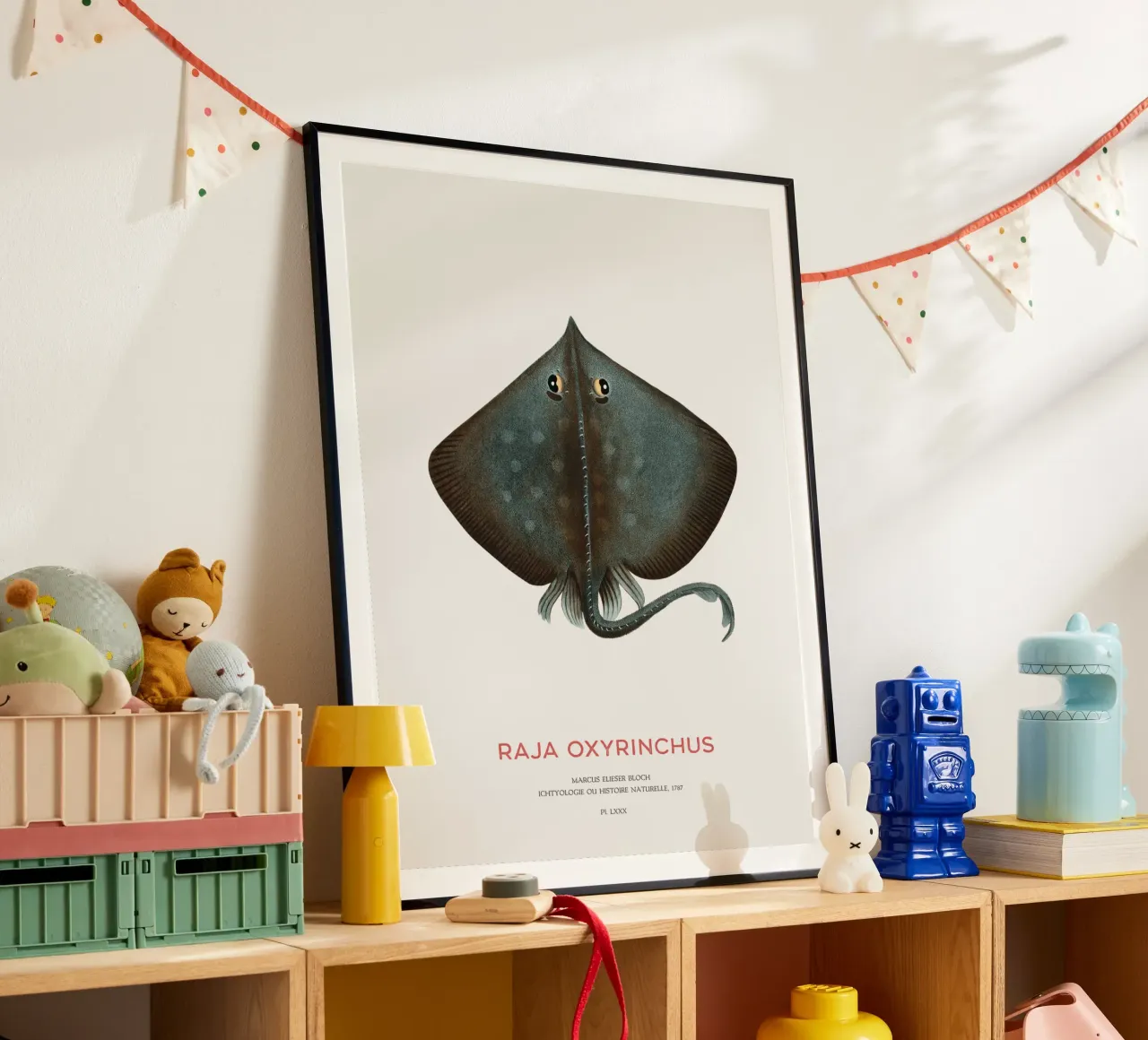 Raja ossifraga o Raja oxyrinchus poster da Vintagrafica