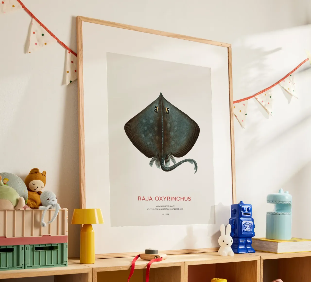 Raja ossifraga o Raja oxyrinchus poster da Vintagrafica