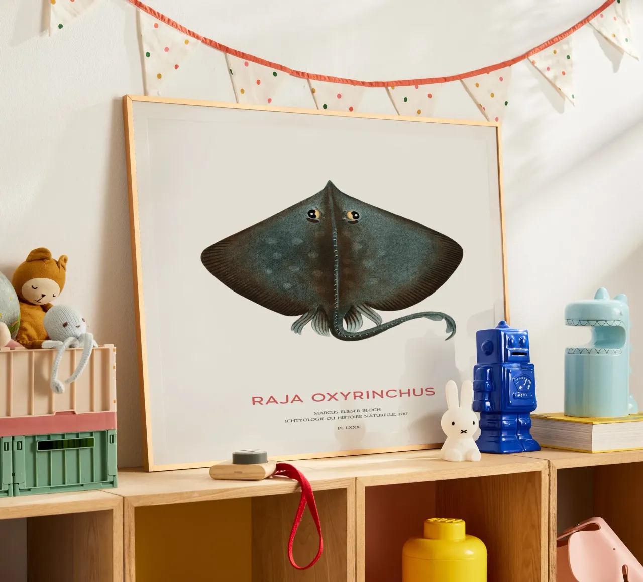 Raja ossifraga o Raja oxyrinchus poster da Vintagrafica