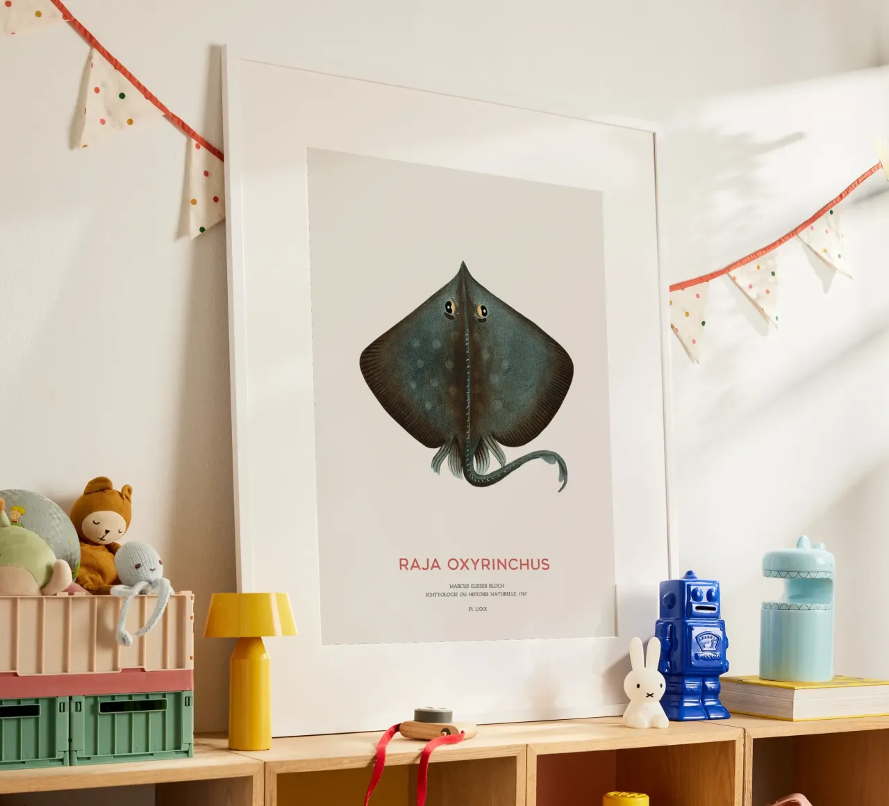 Raja ossifraga o Raja oxyrinchus poster da Vintagrafica