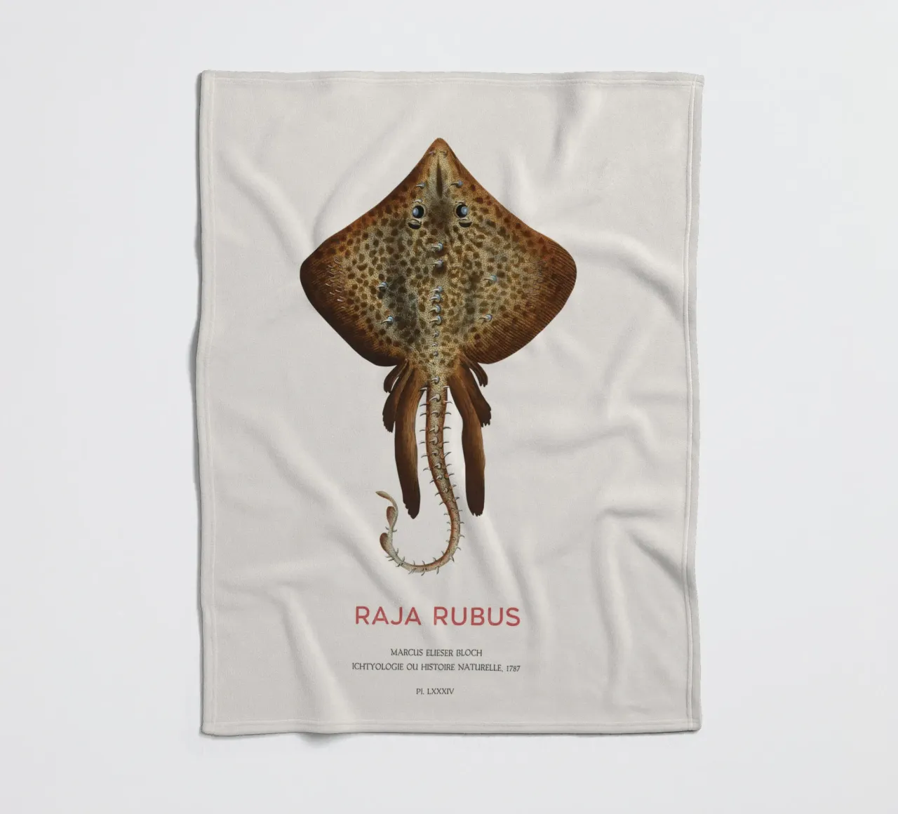 Raggio di spine o Raja rubus coperta in pile da Vintagrafica