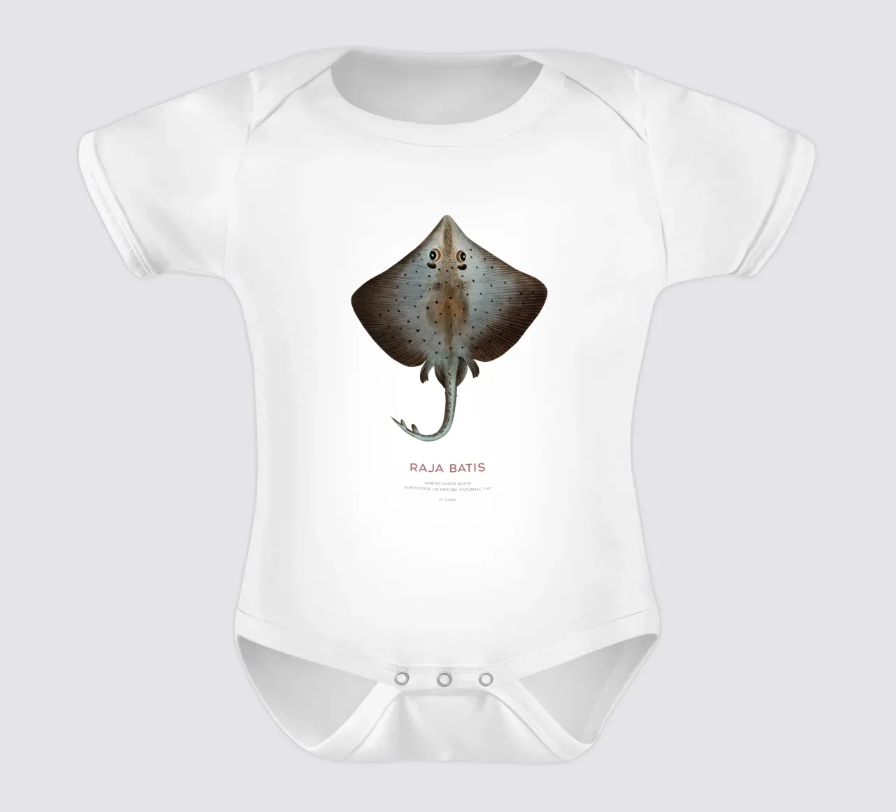 Blauer Rochen oder Raja batis Kurzarm Babybody von Vintagrafica