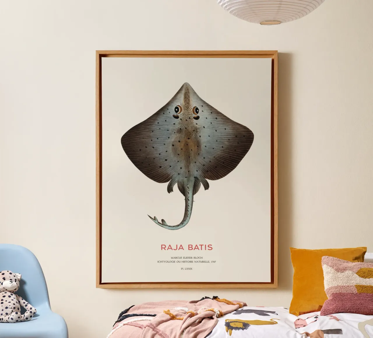 Razze blu o Raja batis tela con Cornice a cassetta da Vintagrafica