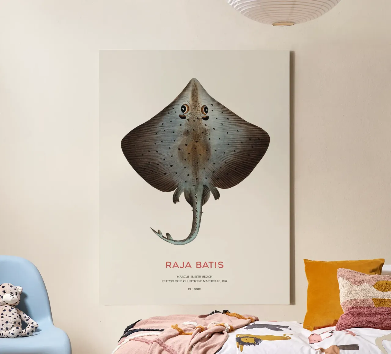Razze blu o Raja batis tela con Cornice a cassetta da Vintagrafica