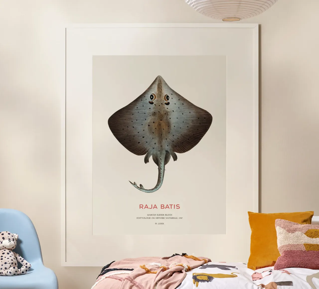 Blauer Rochen oder Raja batis Poster mit Holzrahmen von Vintagrafica