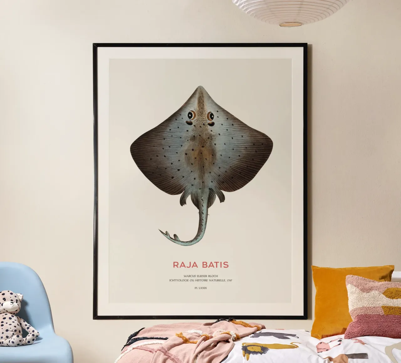 Blauer Rochen oder Raja batis Poster mit Holzrahmen von Vintagrafica