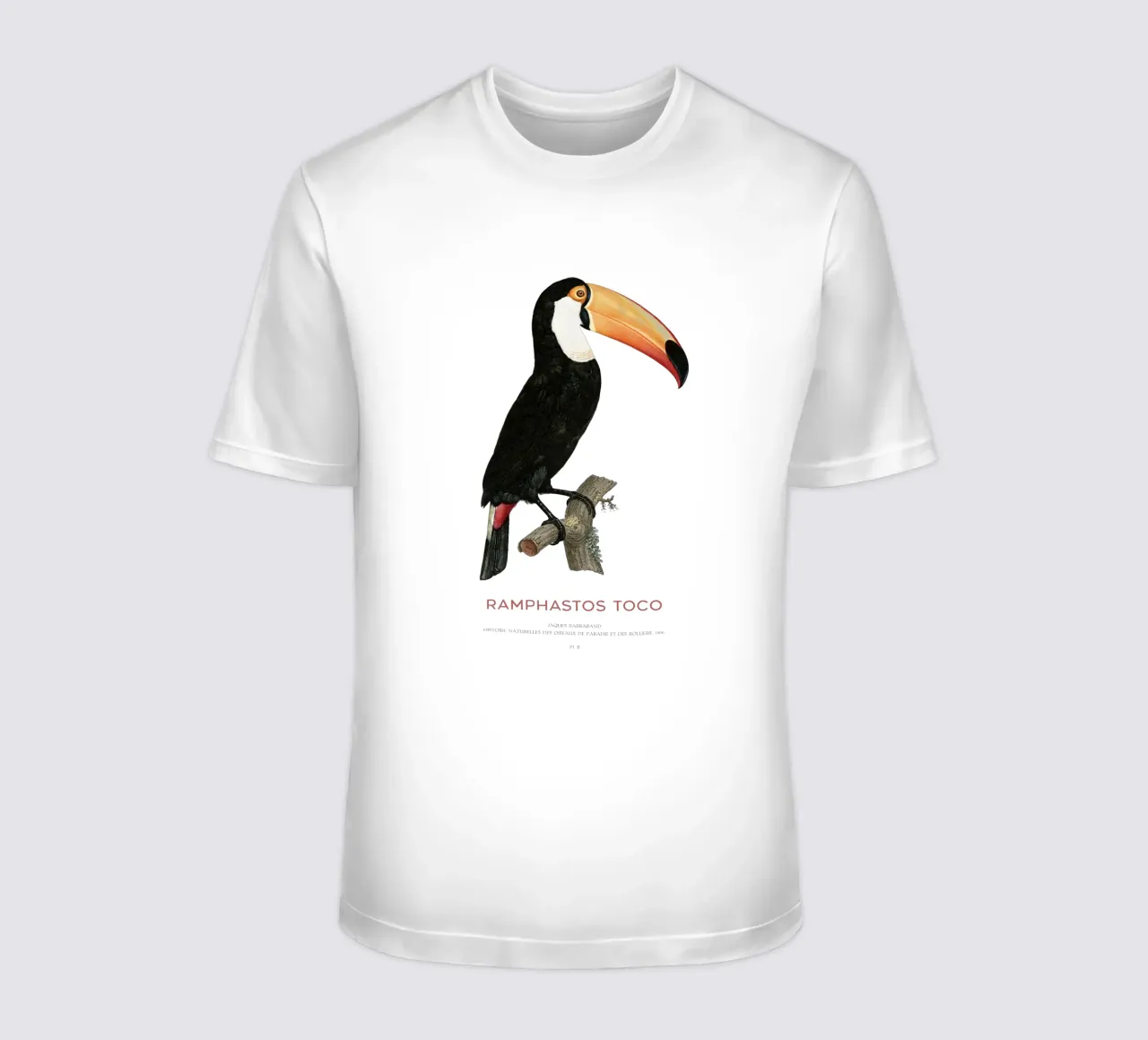 Toco-Tukan oder Ramphastos toco T-Shirt von Vintagrafica