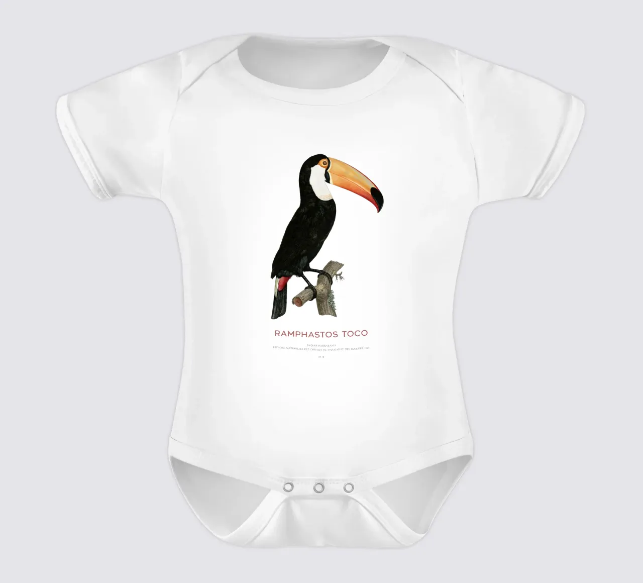 Toco-Tukan oder Ramphastos toco Kurzarm Babybody von Vintagrafica
