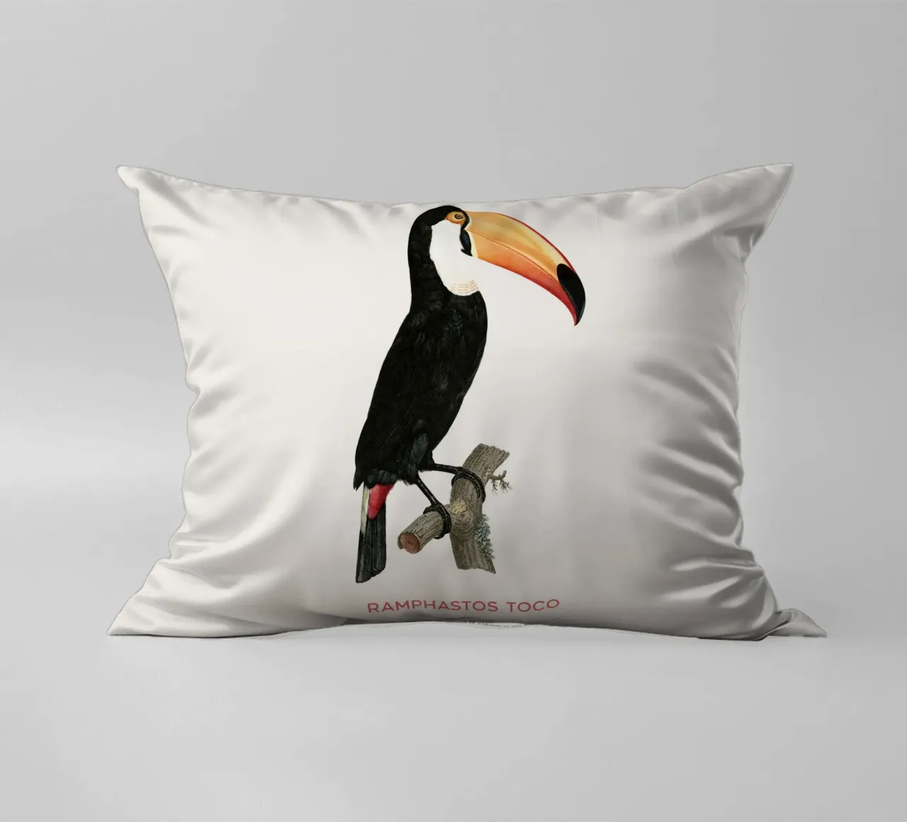 Tucano toco o Ramphastos toco cuscino da Vintagrafica