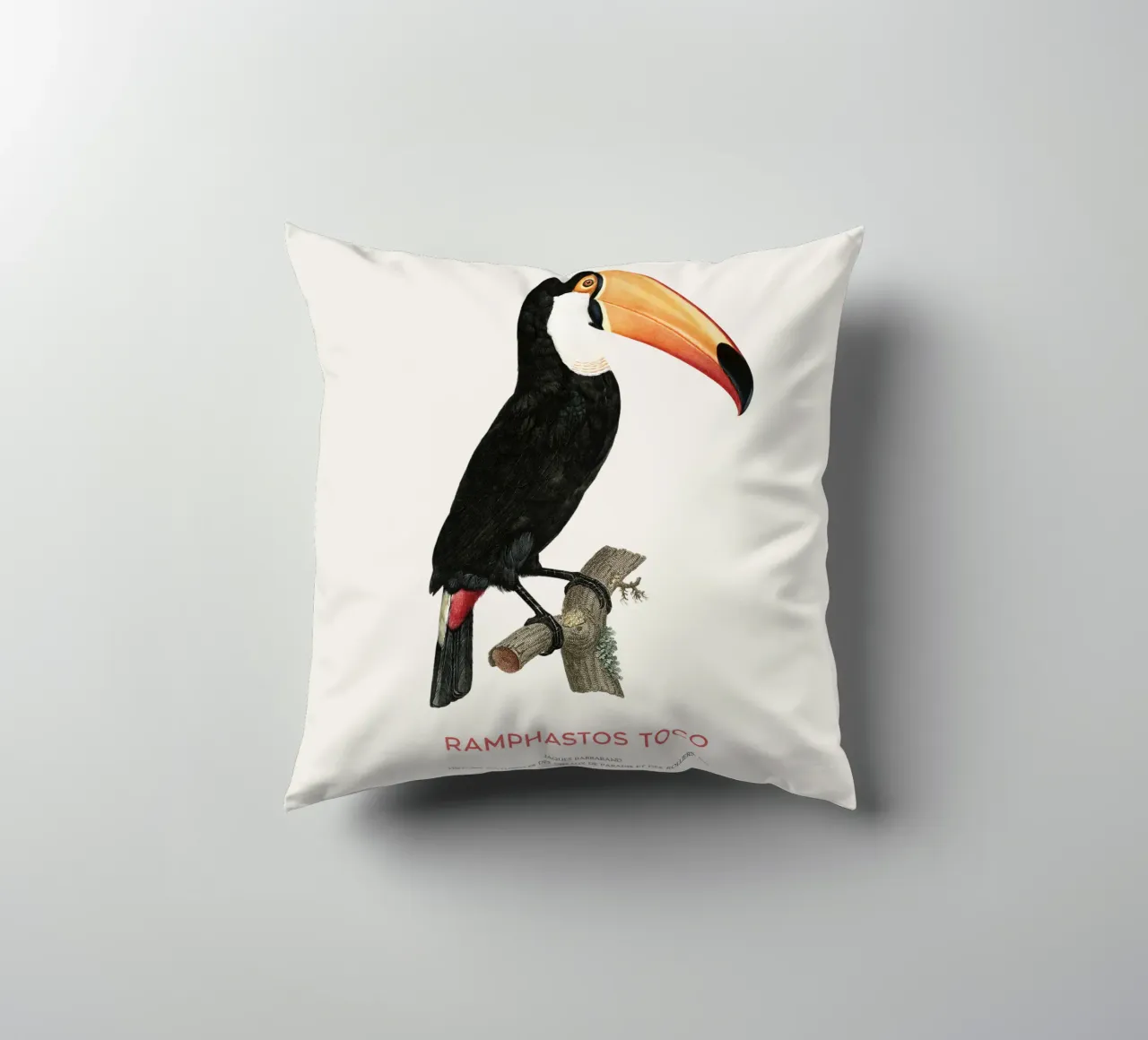 Tucano toco o Ramphastos toco cuscino da Vintagrafica