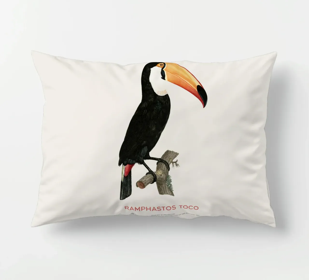 Tucano toco o Ramphastos toco cuscino da Vintagrafica
