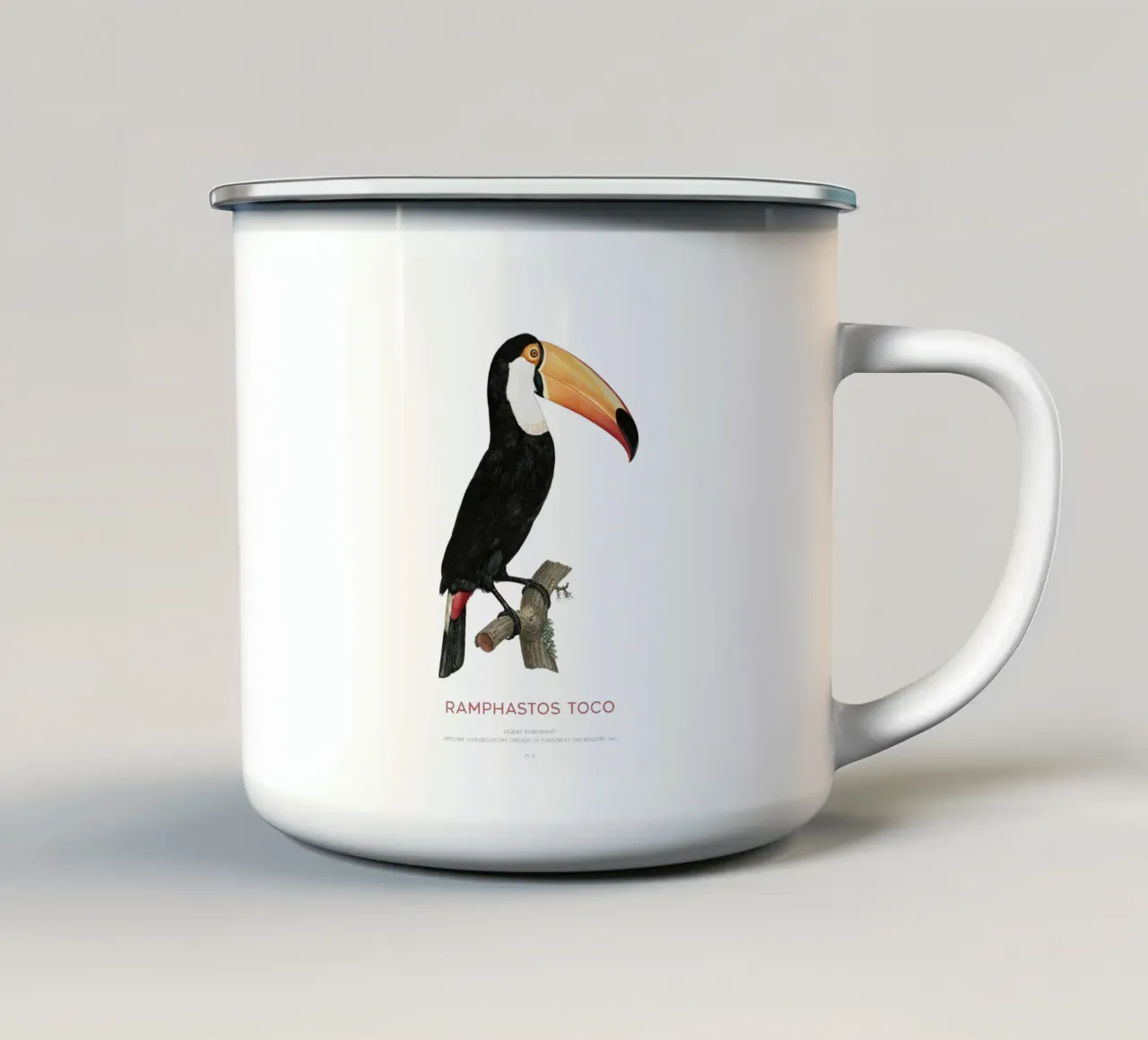 Tucano toco o Ramphastos toco tazza in smalto da Vintagrafica