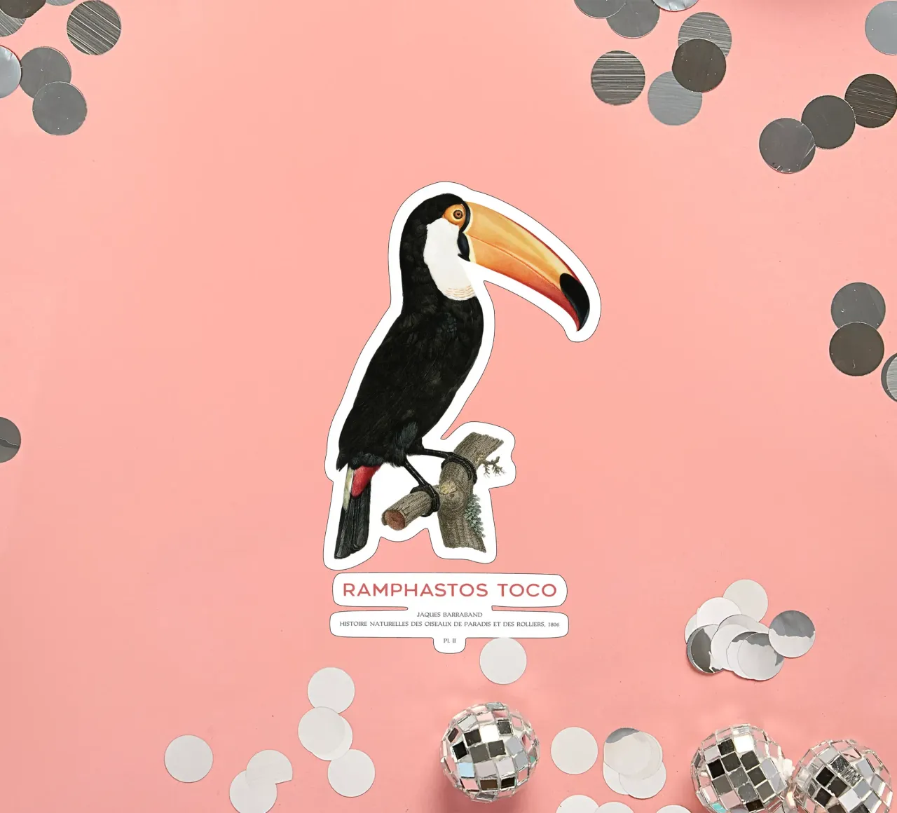 Toco-Tukan oder Ramphastos toco Sticker von Vintagrafica