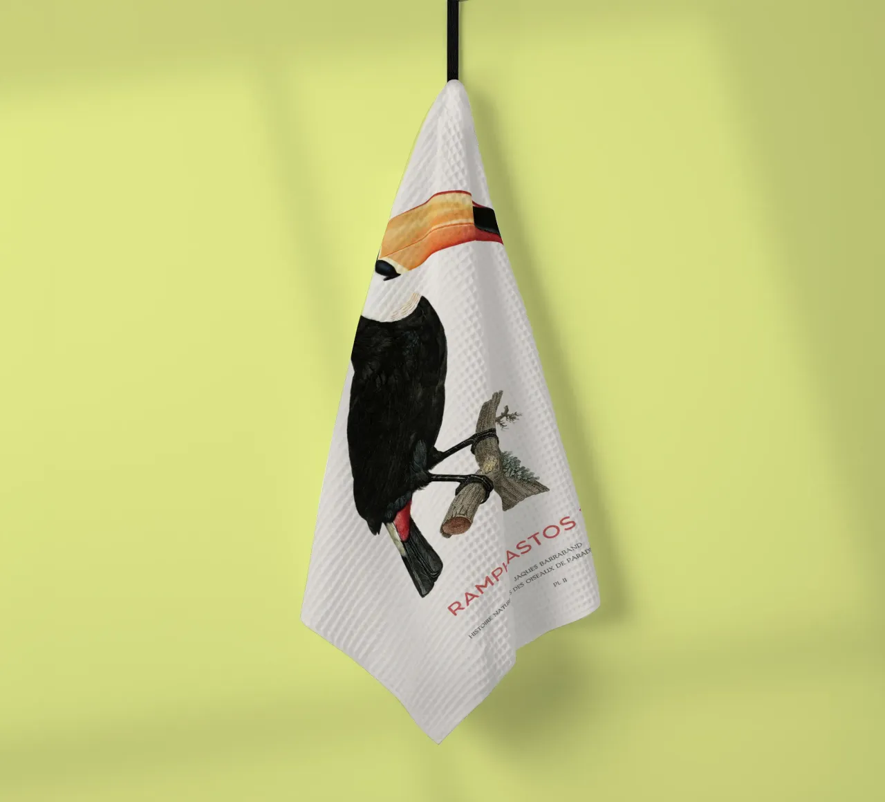 Toco-Tukan oder Ramphastos toco Geschirrtuch von Vintagrafica