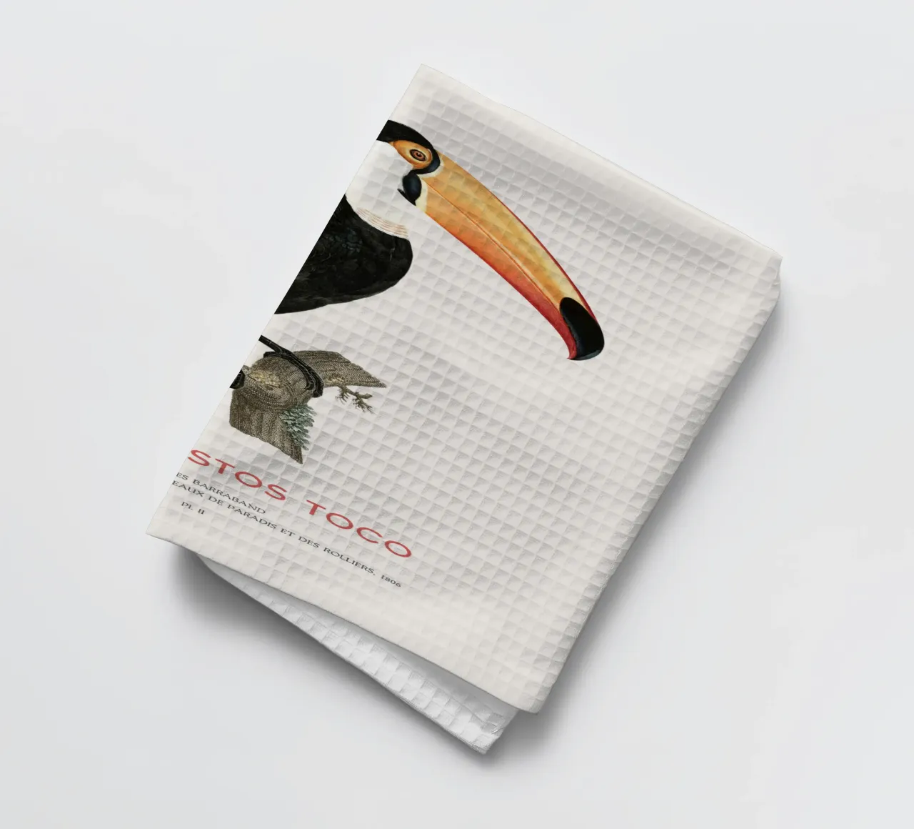 Toco-Tukan oder Ramphastos toco Geschirrtuch von Vintagrafica