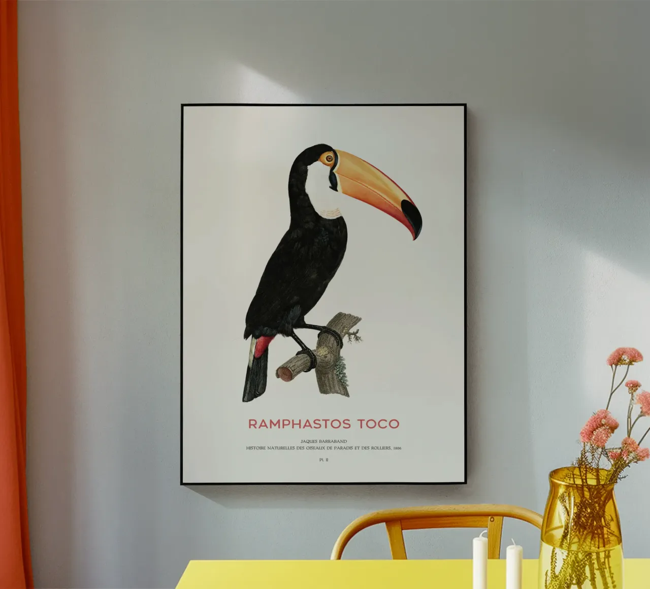Tucano toco o Ramphastos toco plexiglass da Vintagrafica