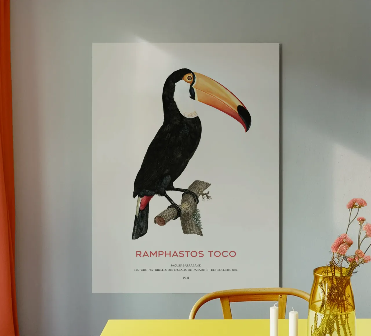 Tucano toco o Ramphastos toco alluminio dibond da Vintagrafica