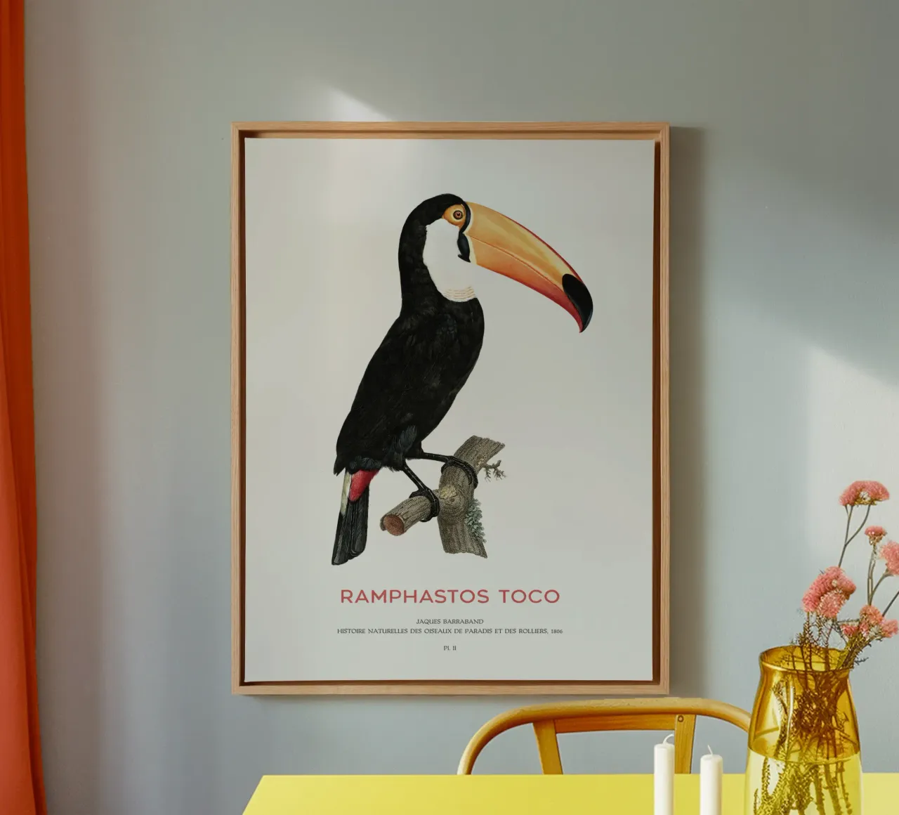 Toco-Tukan oder Ramphastos toco Leinwand von Vintagrafica