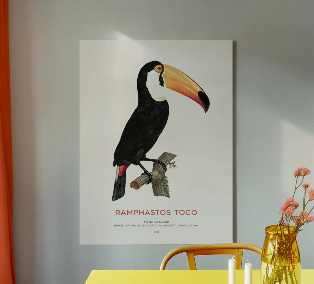 Toco-Tukan oder Ramphastos toco Leinwand von Vintagrafica