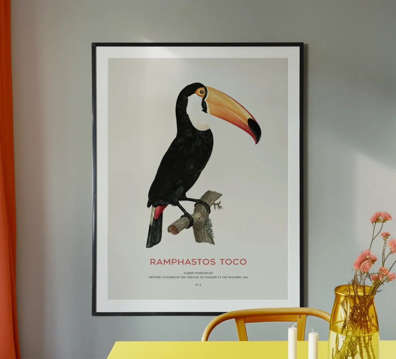 Toco-Tukan oder Ramphastos toco Hahnemühle von Vintagrafica
