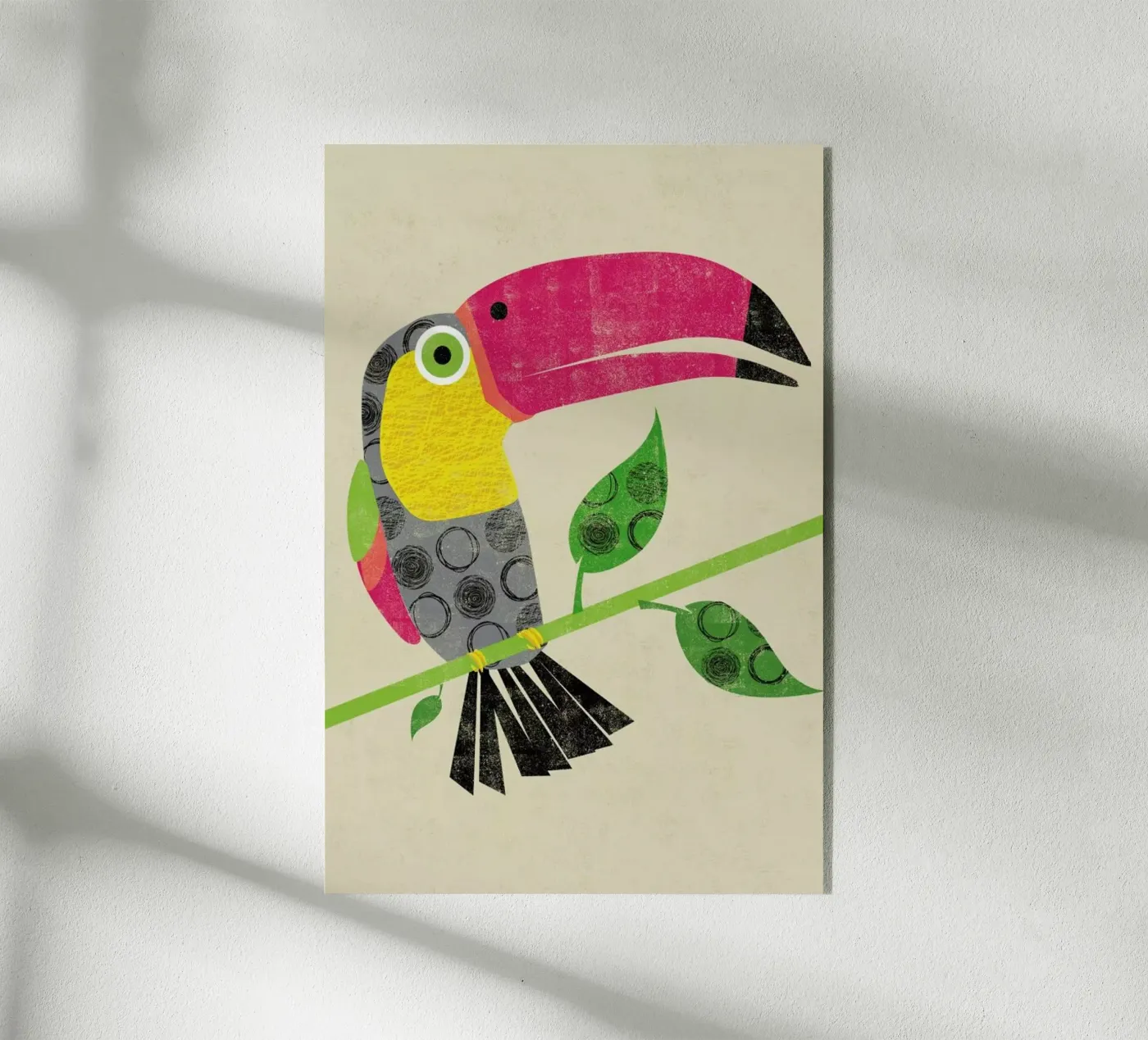 Toucan plexiglass da Rocket68