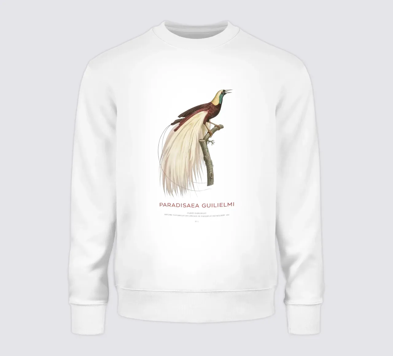 Uccello del Paradiso imperatore o Paradisaea guilielmi felpa da Vintagrafica