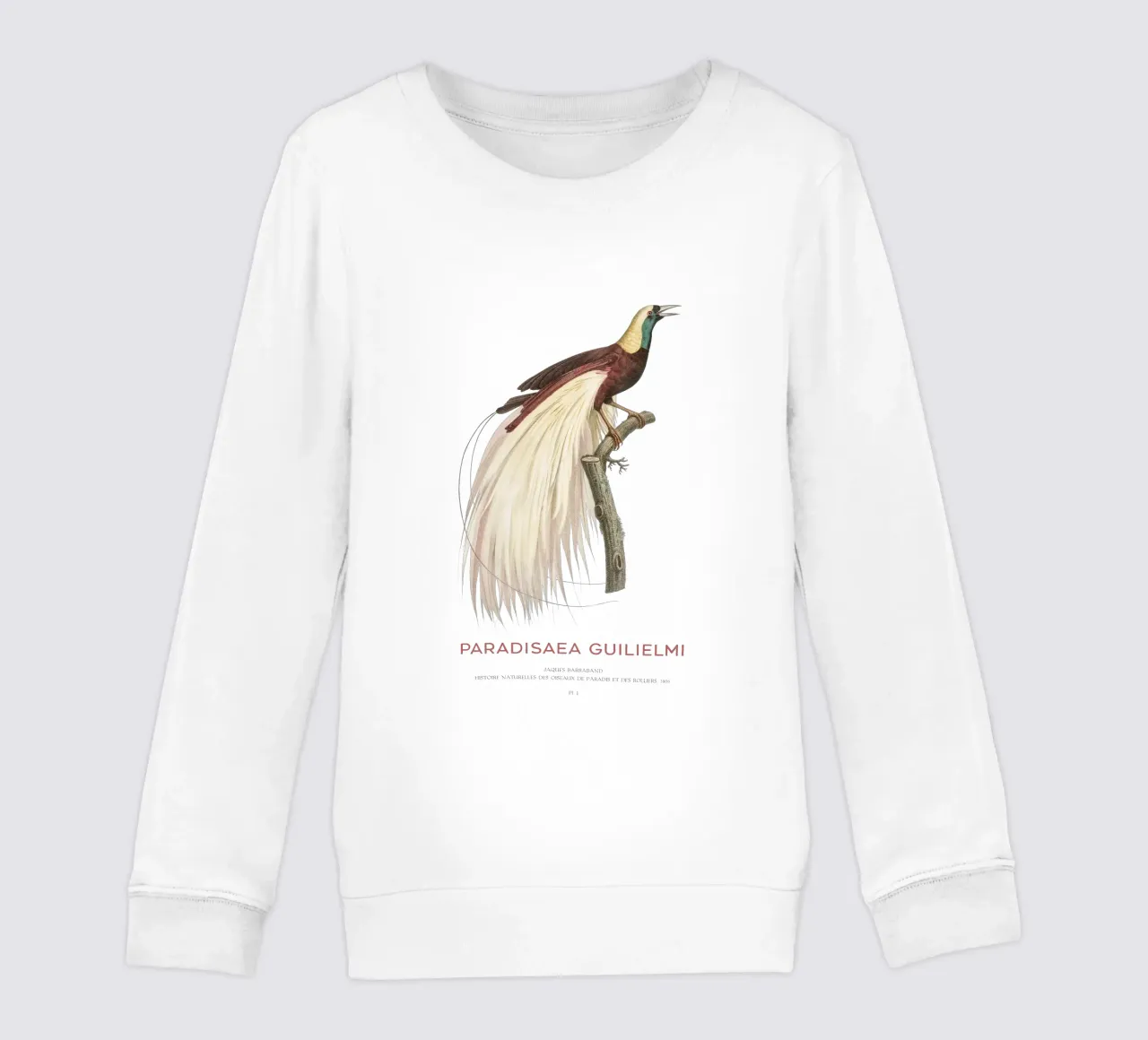 Uccello del Paradiso imperatore o Paradisaea guilielmi felpa bambino da Vintagrafica