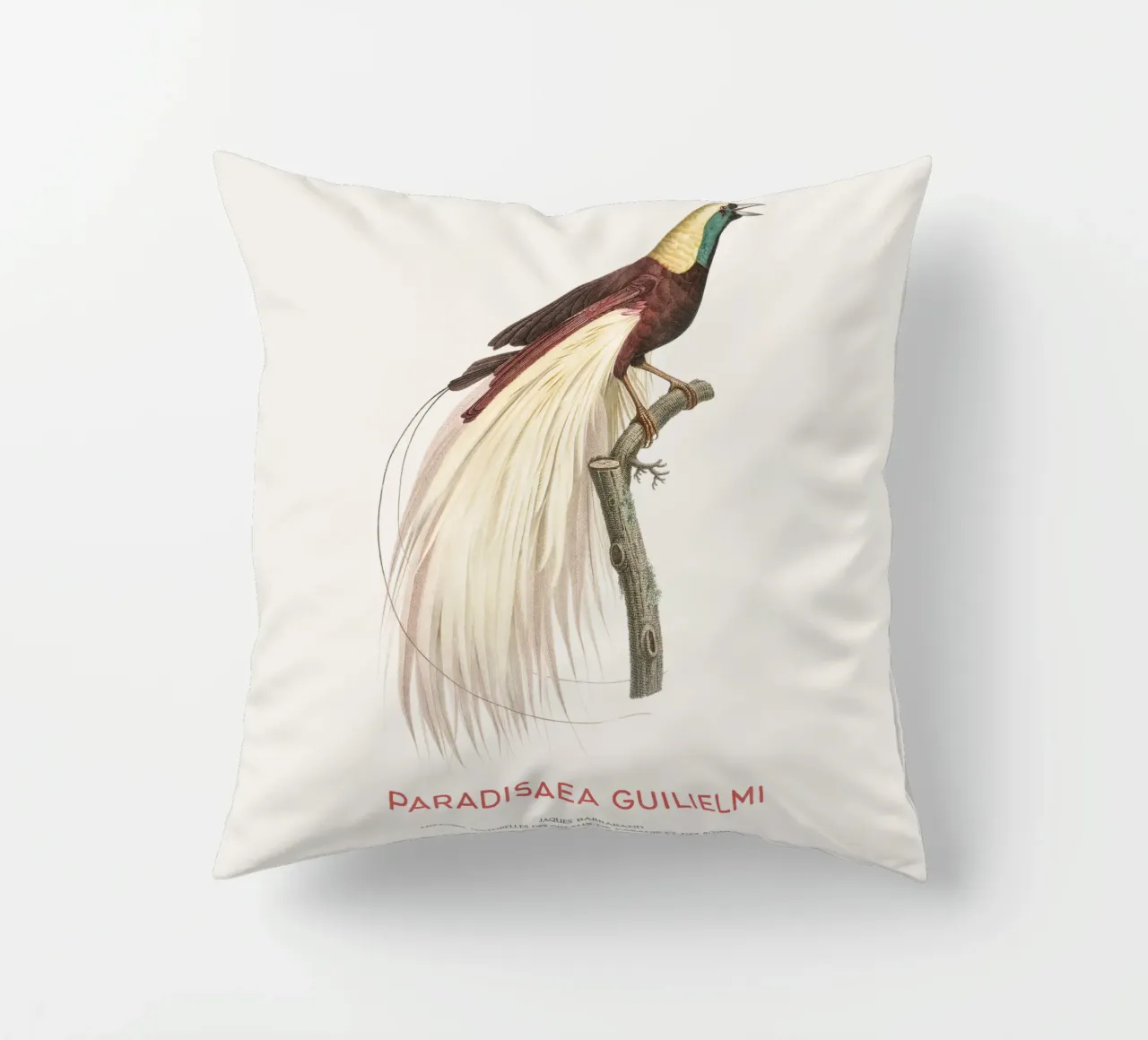 Uccello del Paradiso imperatore o Paradisaea guilielmi cuscino da Vintagrafica
