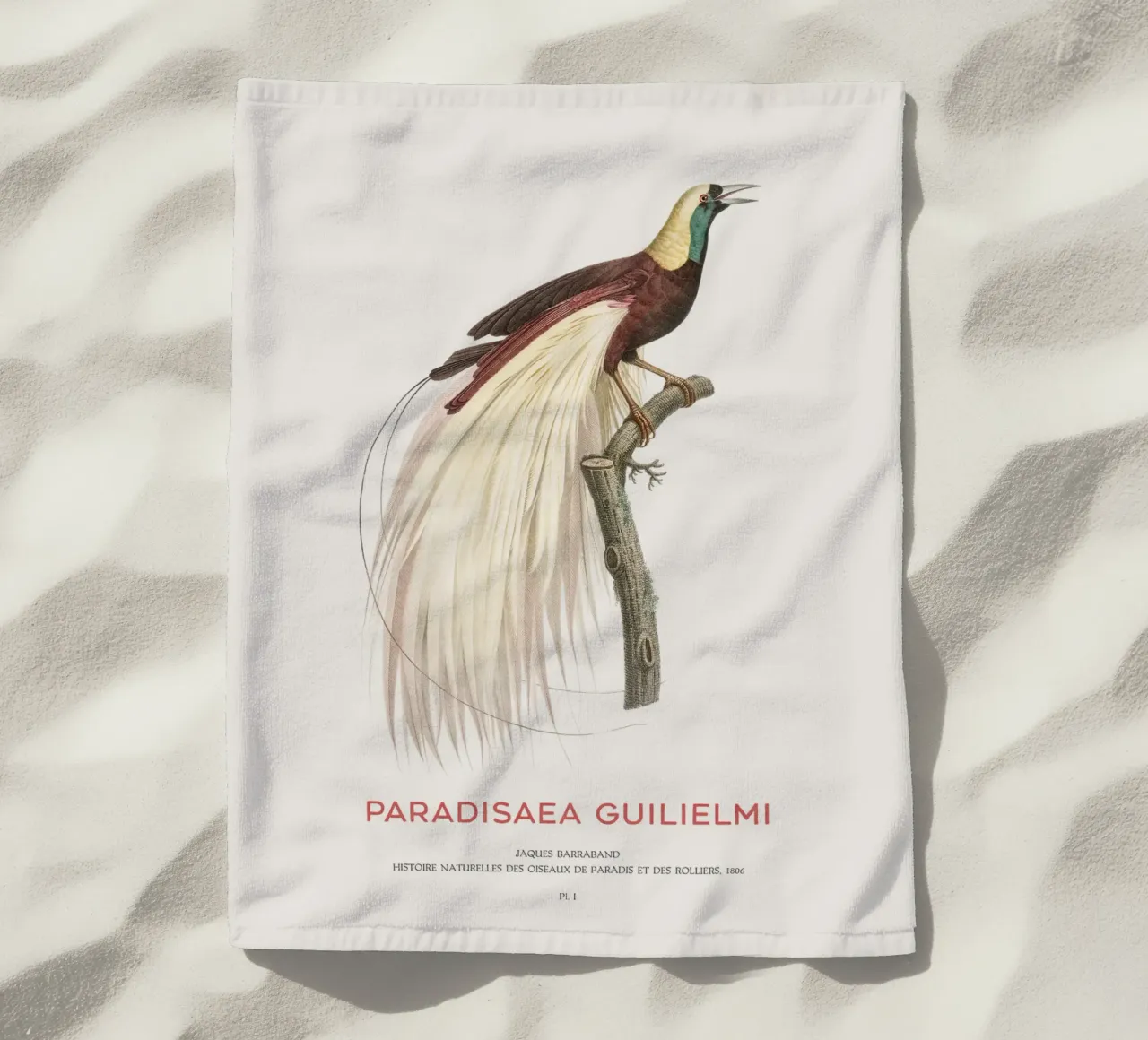 Uccello del Paradiso imperatore o Paradisaea guilielmi telo mare da Vintagrafica