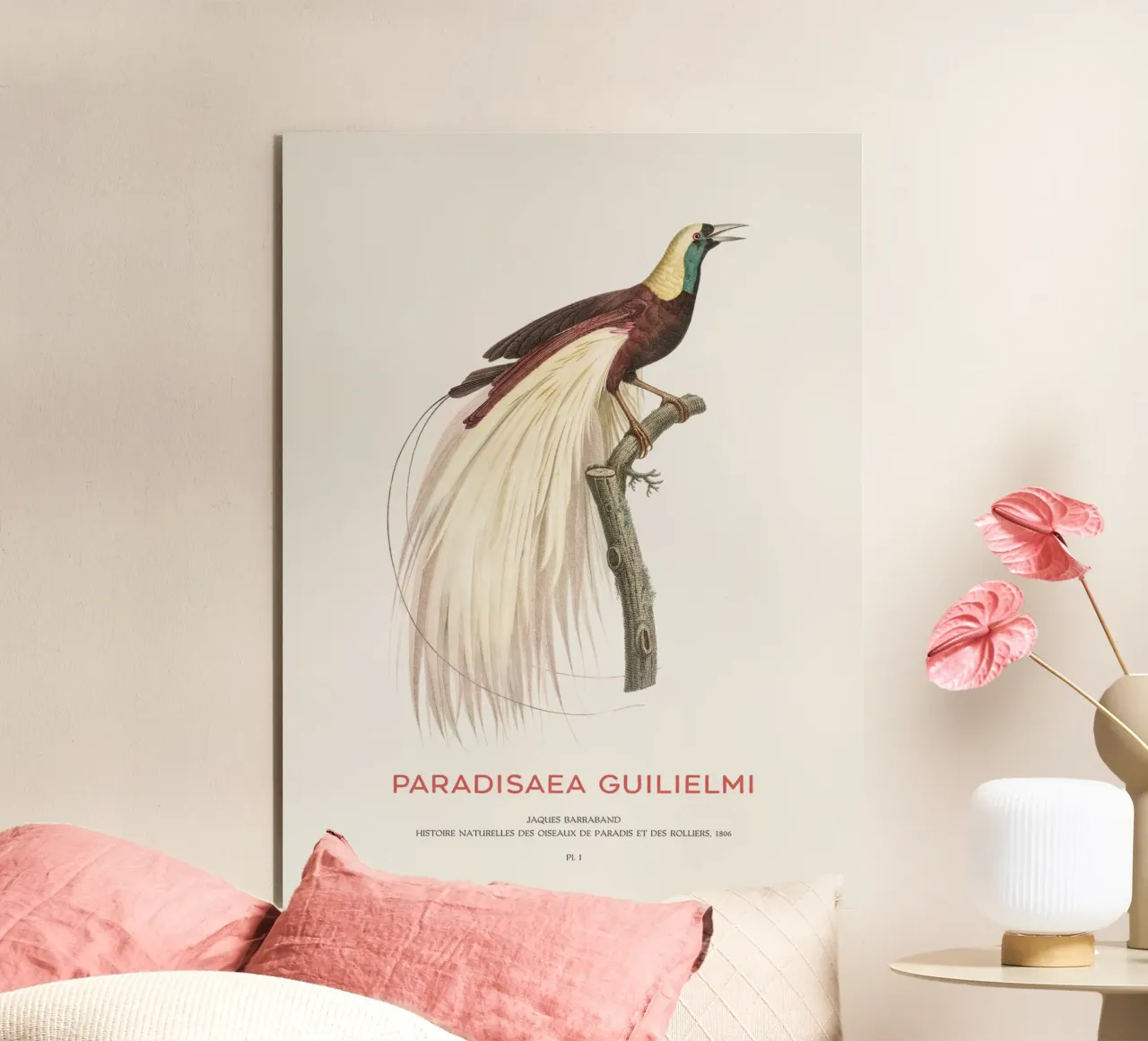 Uccello del Paradiso imperatore o Paradisaea guilielmi alluminio dibond da Vintagrafica