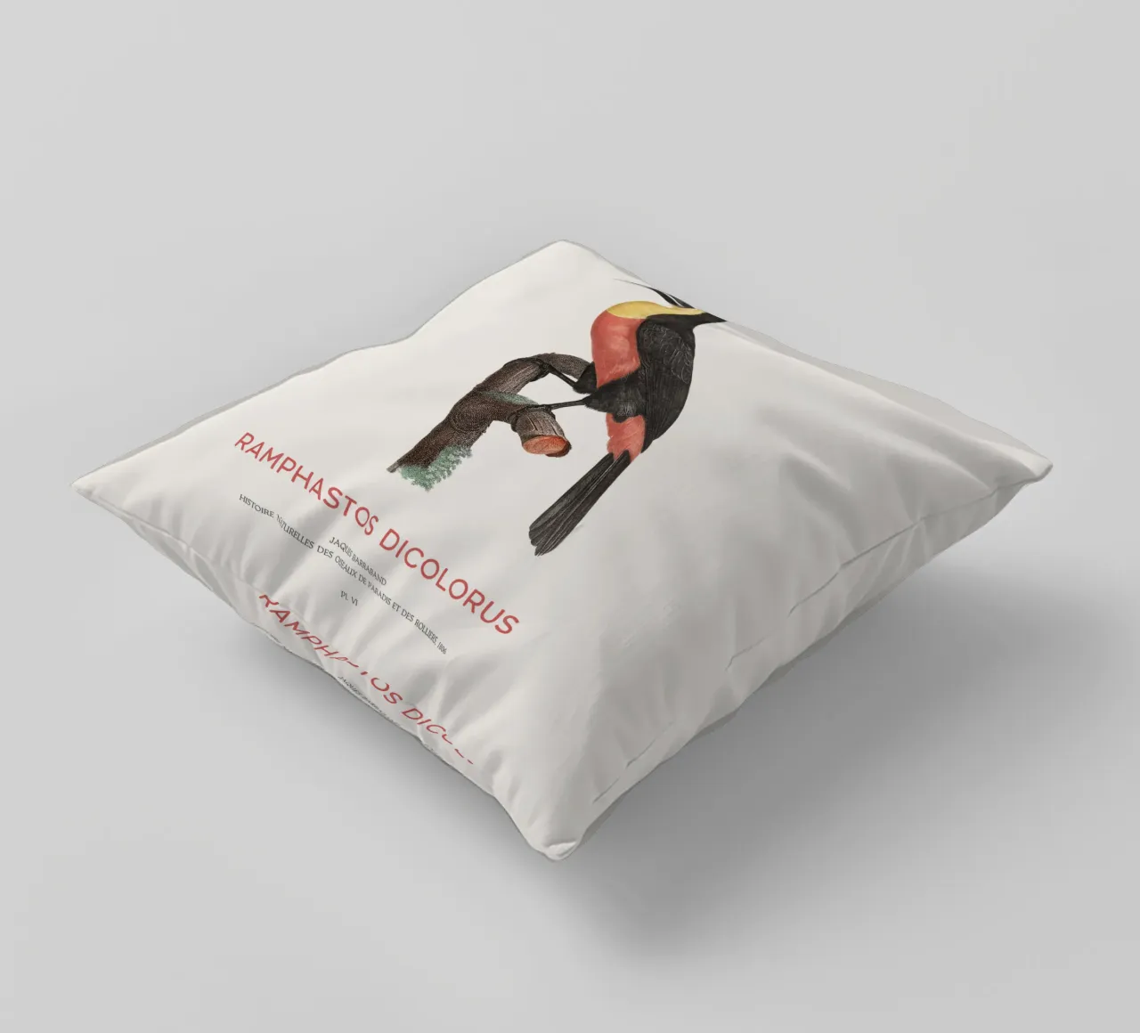 Tucano dal petto rosso o Ramphastos dicolorus cuscino da Vintagrafica