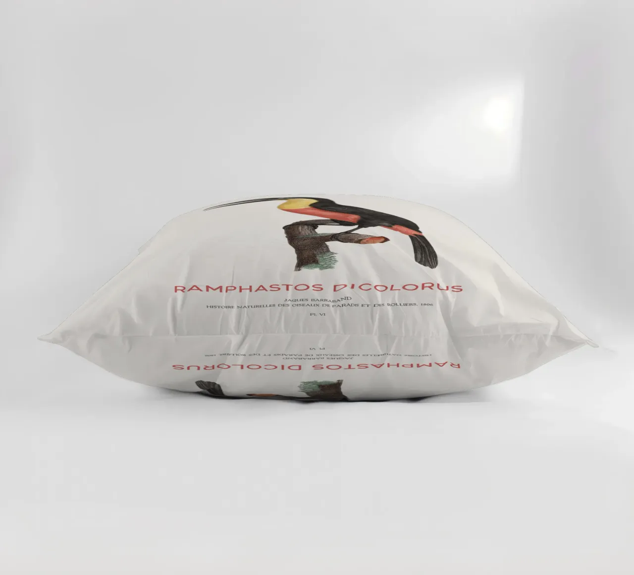 Tucano dal petto rosso o Ramphastos dicolorus cuscino da Vintagrafica
