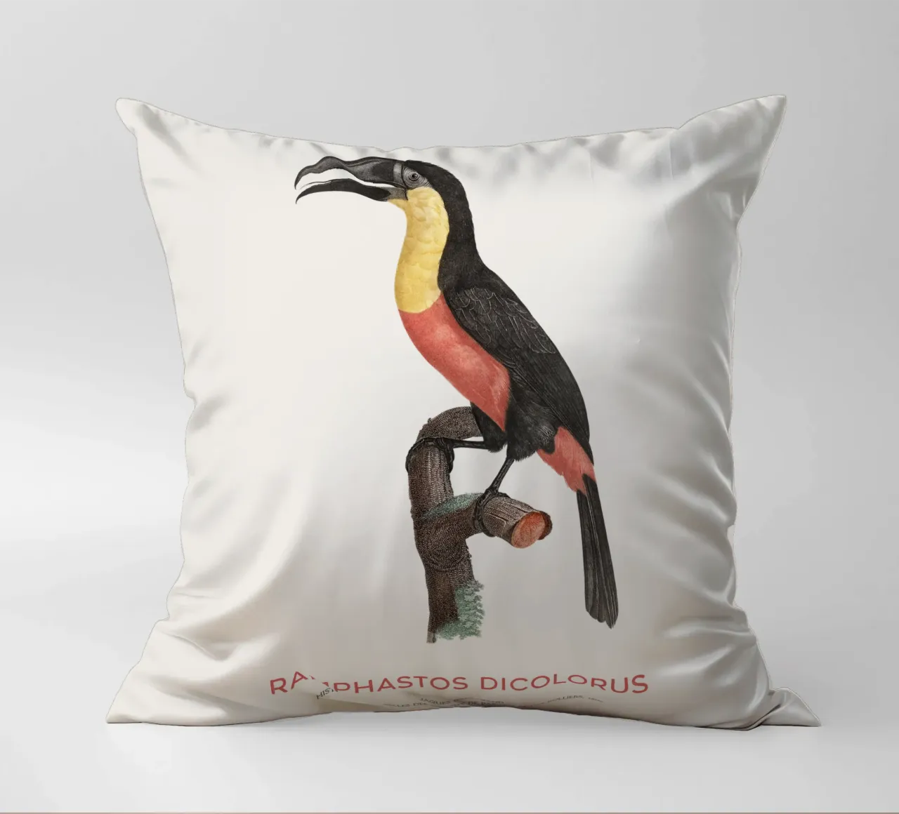 Tucano dal petto rosso o Ramphastos dicolorus cuscino da Vintagrafica