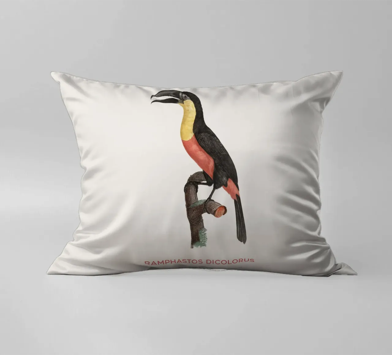 Tucano dal petto rosso o Ramphastos dicolorus cuscino da Vintagrafica
