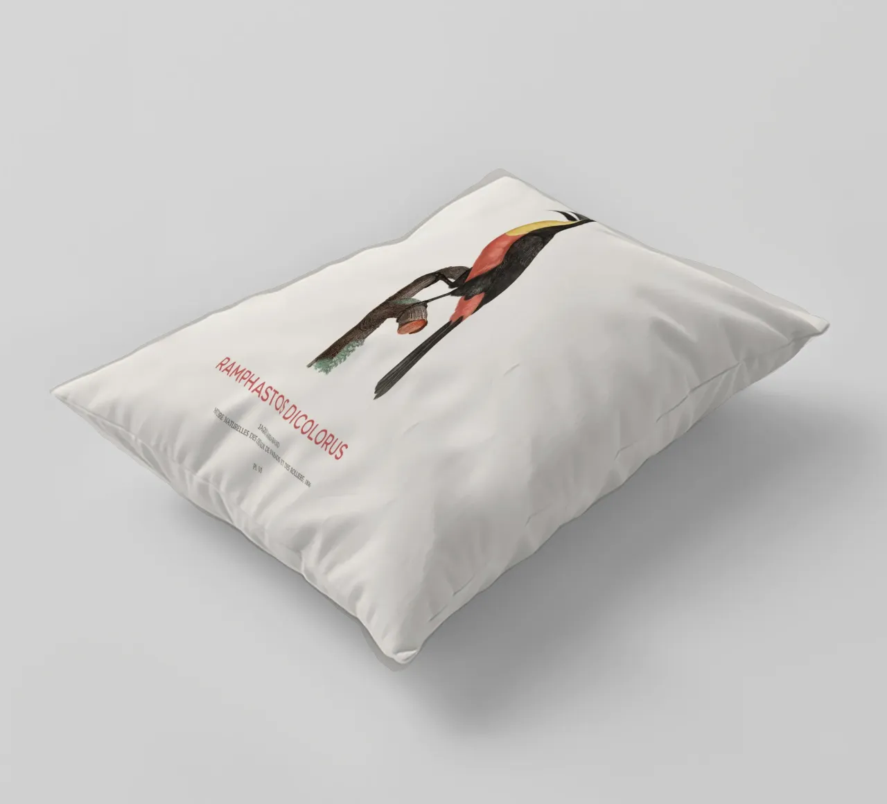 Tucano dal petto rosso o Ramphastos dicolorus cuscino da Vintagrafica
