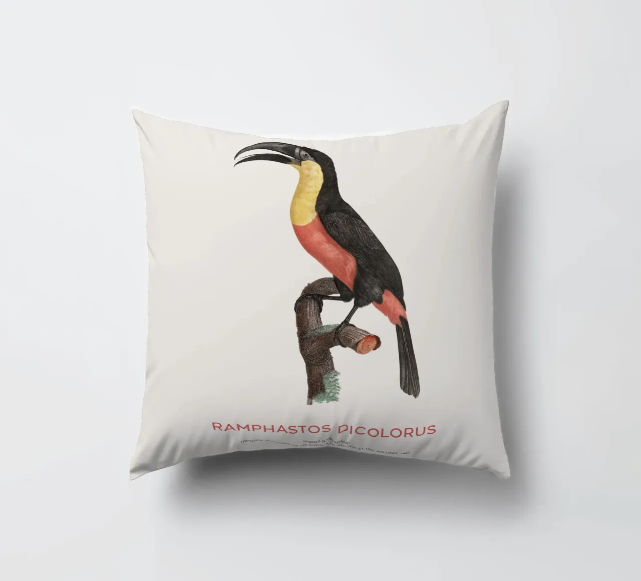 Tucano dal petto rosso o Ramphastos dicolorus cuscino da Vintagrafica