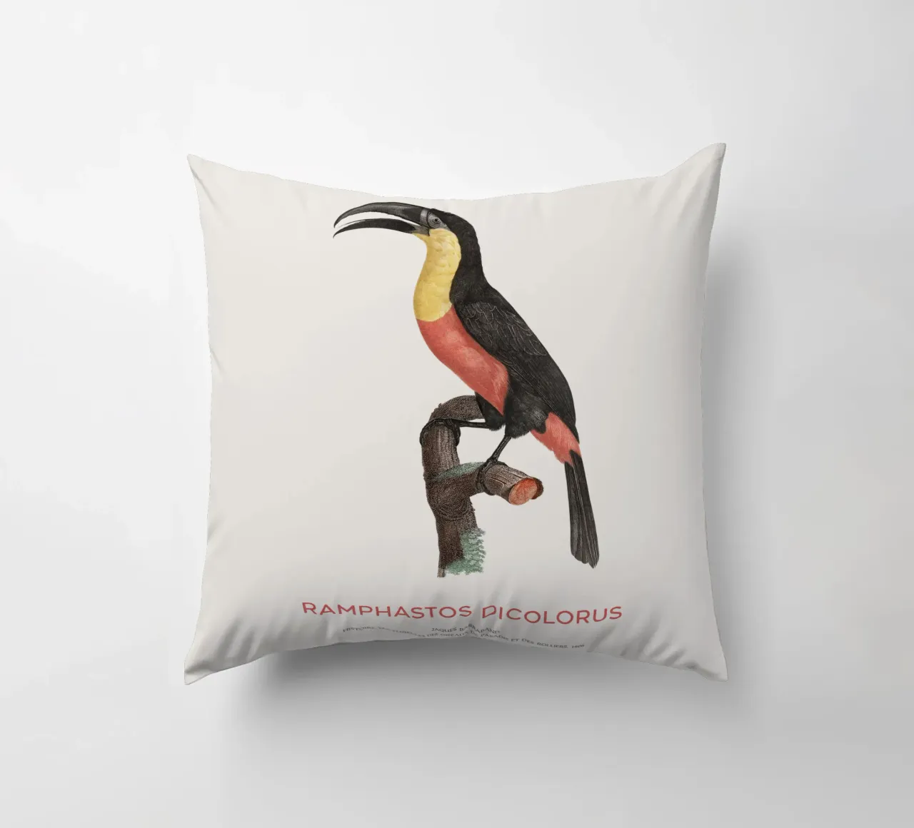 Tucano dal petto rosso o Ramphastos dicolorus cuscino da Vintagrafica