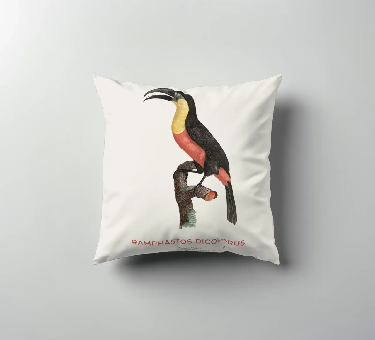 Tucano dal petto rosso o Ramphastos dicolorus cuscino da Vintagrafica