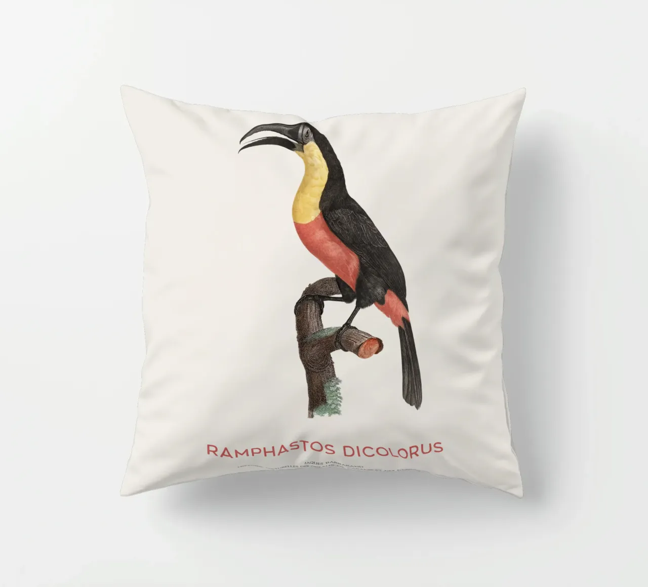 Tucano dal petto rosso o Ramphastos dicolorus cuscino da Vintagrafica
